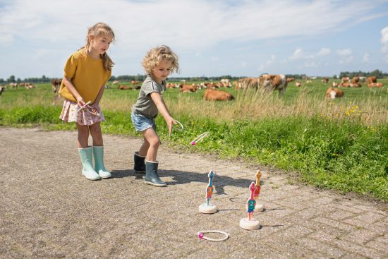 Ring Toss Birds - BS Toys