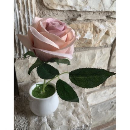 Γλαστράκι 7CM Υ17CM Τριαντάφυλλο Old Pink | Λ41