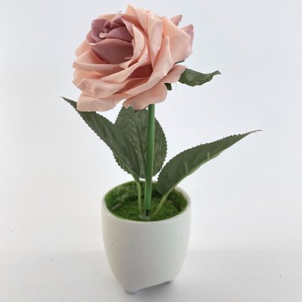 Τριαντάφυλλο Old Pink σε Γλαστράκι (7x17cm) | Λ41