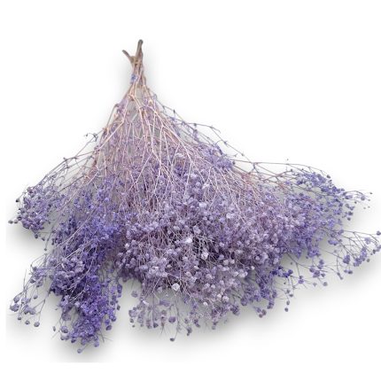 Μπουκέτο Γυψοφύλλη Λιλά 100gr (70cm) | Λ119ΛΙΛ