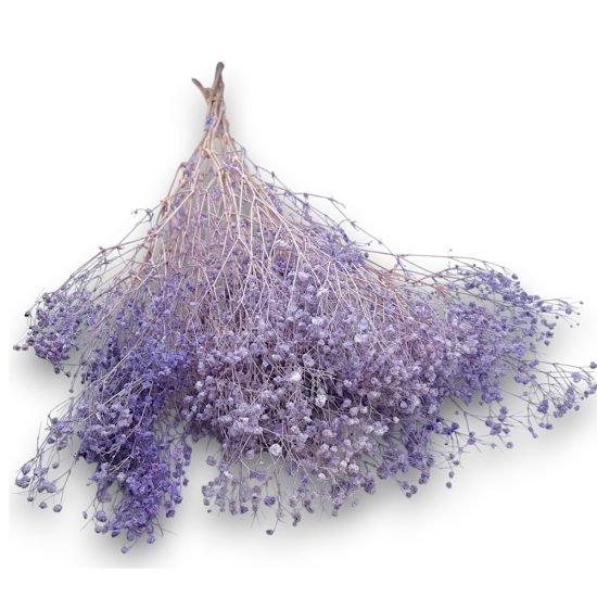 Μπουκέτο Γυψοφύλλη Λιλά 100gr (70cm) | Λ119ΛΙΛ