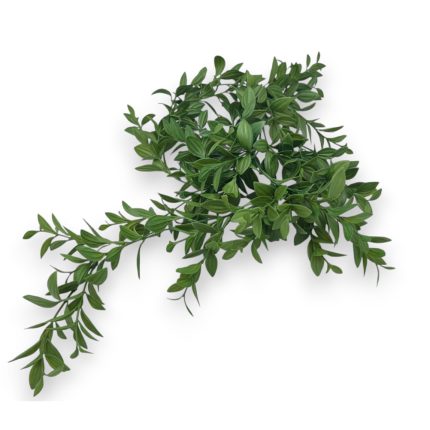 Πρασινάδα Εύκαμπτη (75cm) | Λ109