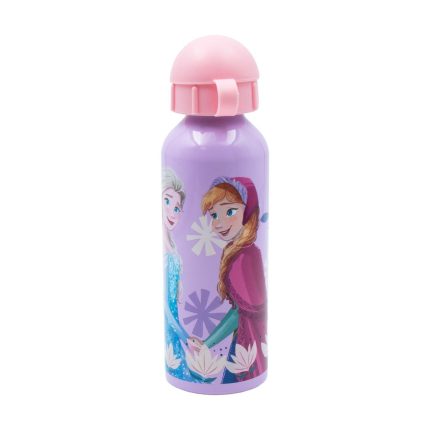 Σετ Φαγητού Disney Frozen Φαγητοδοχείο 800ml-Παγούρι Αλουμινίου 500ml | Must 5205698741371