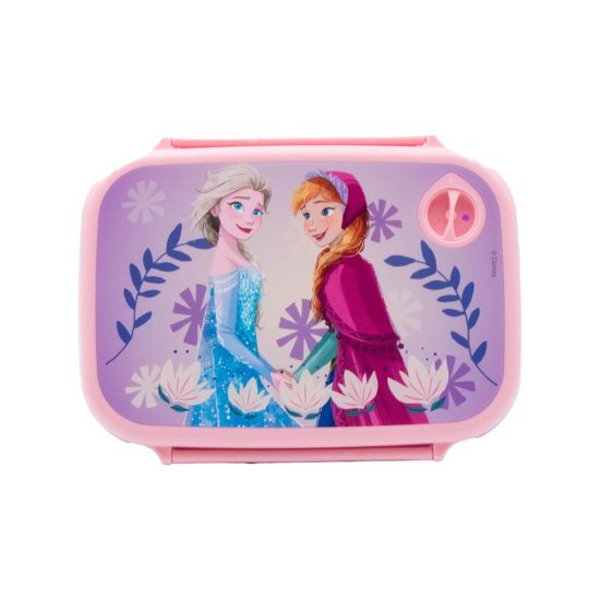 Σετ Φαγητού Disney Frozen Φαγητοδοχείο 800ml-Παγούρι Αλουμινίου 500ml | Must 5205698741371