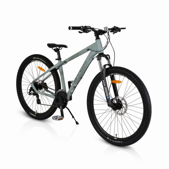 Ποδήλατο Alloy HDB 29“ Epoch 3800146203474 - Byox