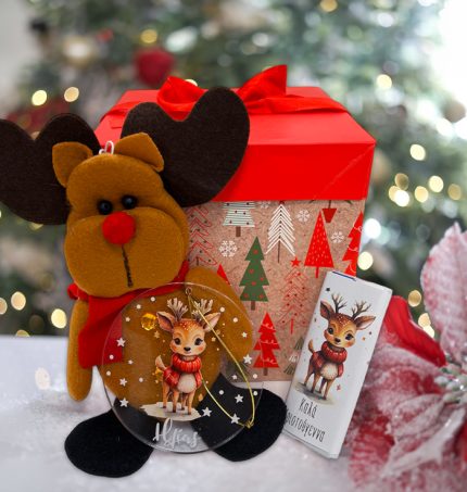 Χριστουγεννιάτικο Κουτί με Δώρα Ελαφάκι Λούτρινο | VK1809