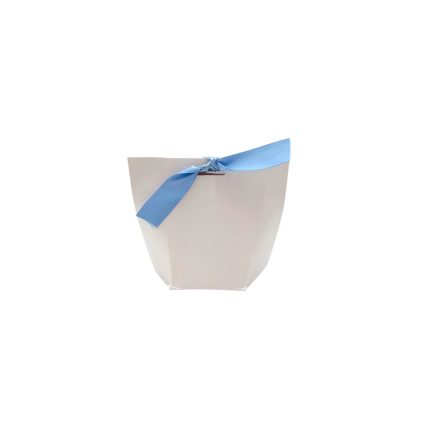 Small ivory gift bag with a light blue ribbon tied in a bow on the front.