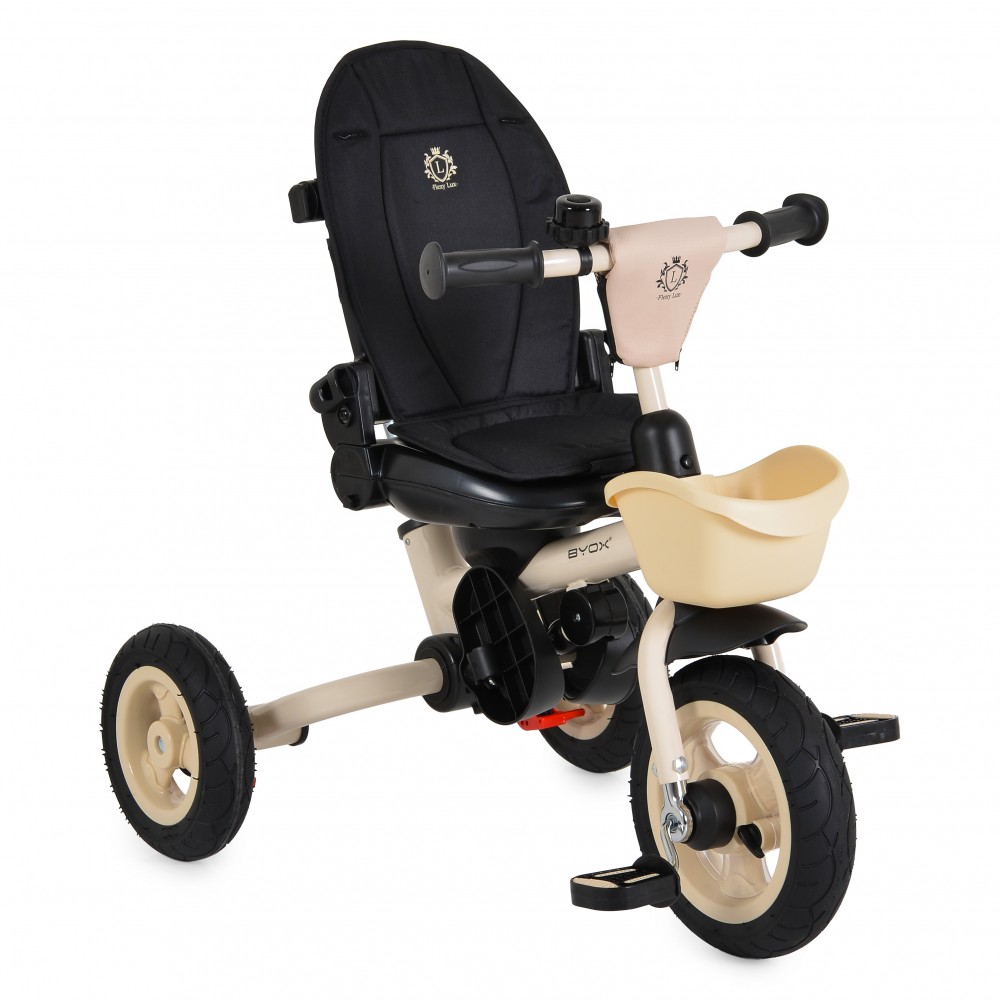 7462991-1000x1000 | La Vie en Rose Adaptive kids' tricycle with a high-back black seat and beige frame, three-wheel design, and padded handlebars for support