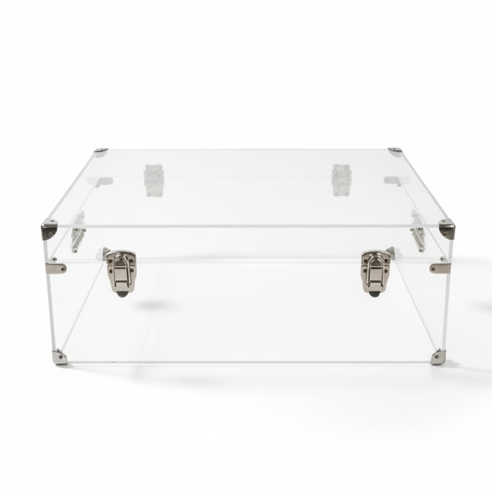 88C88702-1EE1-4050-2BFA-019DBF4ACF93_11 | La Vie en Rose Transparent acrylic display case with metal corner brackets and latches, empty inside.