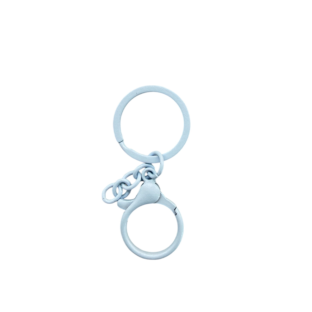 9DFD5535-1E45-3256-53FD-019D8BDAF68D_11 | La Vie en Rose Light blue double-key ring keychain with a small chain and lobster clasp for keys.