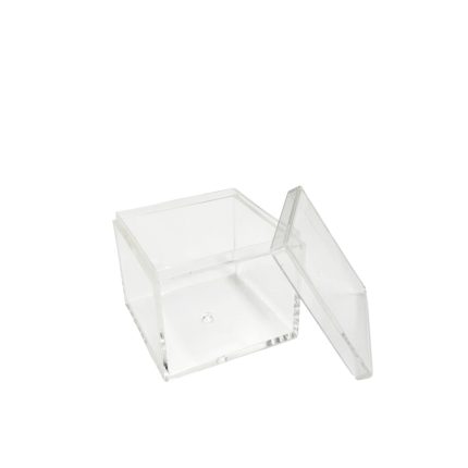 Clear acrylic display case with hinged lid open, suitable for jewelry or small items