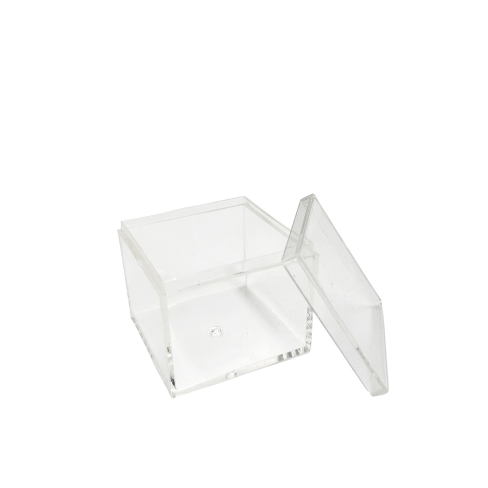 AF52183A-FB50-E5FE-3736-019CDD307FAE_11 | La Vie en Rose Clear acrylic display case with hinged lid open, suitable for jewelry or small items