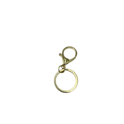 Gold-tone keyring with a circular ring and a lobster-claw clasp attached.
