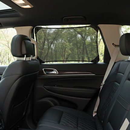 Rear car interior with black leather seats and headrests; passenger window views of trees outside.