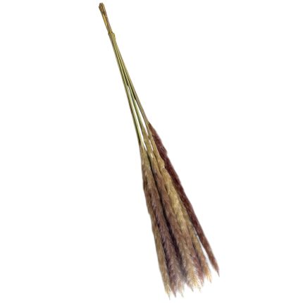 Four dried ornamental grass stems tied at the top, varying beige and brown plumes at the bottom.