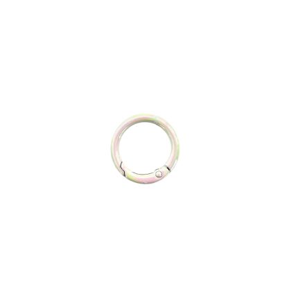 Pastel-colored circular hoop earring with a hinged clasp on a white background