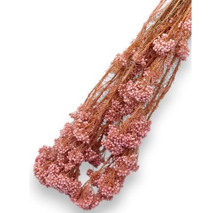 Pink dried baby’s breath bouquet with brown stems, laid diagonally on a white background.