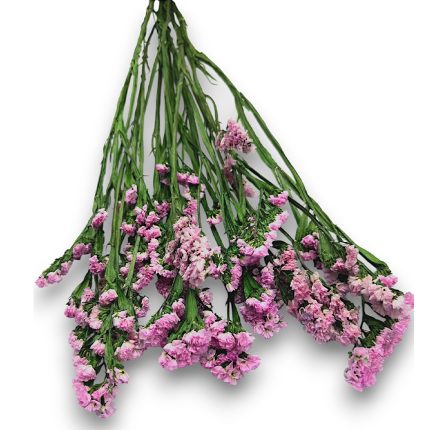 Bouquet of pink statice flowers with long green stems laid together into a bundle