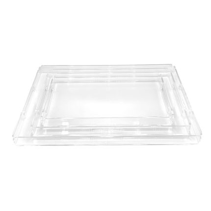 Clear plastic display tray with multiple nested rectangular rims, viewed from the top.