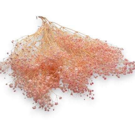 Pink baby's breath flowers in a delicate bouquet with wispy stems