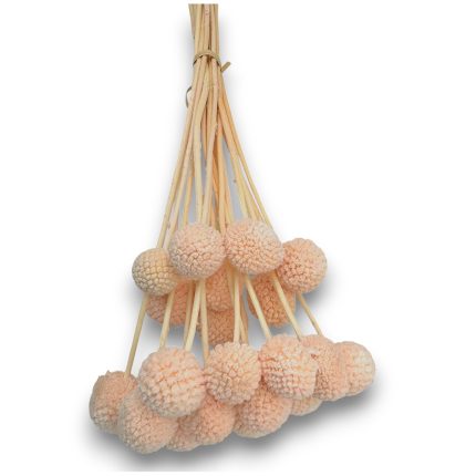 Bunch of peach-colored fuzzy pom-poms on wooden sticks, tied at the top as a decorative bundle.
