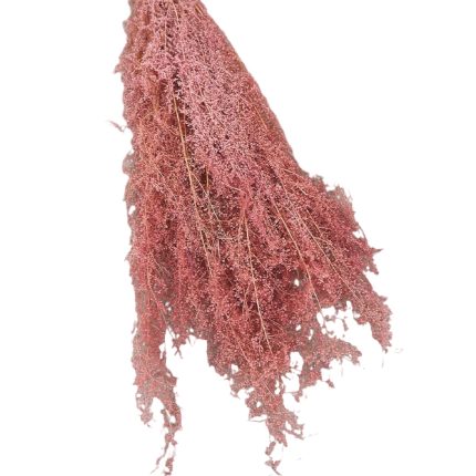 Dried pinkish-red ornamental plant with feathery plumes hanging in a cluster.
