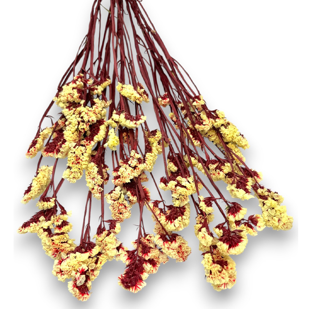 FA56365D-32A4-3621-5DD1-0196ECEA56BB_11 | La Vie en Rose Decorative bouquet of dried flowers with yellow fluffy clusters on burgundy stems.