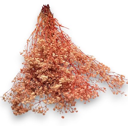 Dried pink baby's breath flowers in a loose bouquet with red stems against a white background, delicate clusters of tiny blooms.