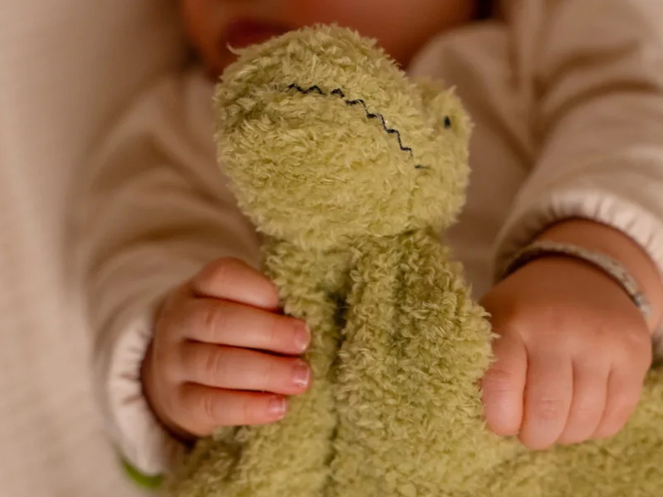 Σετ Δώρου Βρεφικά Είδη Dino Friends 0+ BTL305154 | Baby To Love Σετ Δώρου Βρεφικά Είδη Dino Friends 0+ BTL305154 | Baby To Love
