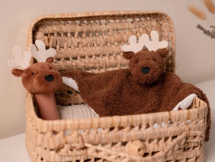 Σετ Δώρου Βρεφικά Είδη 3 Τεμαχίων Forest 0+ BTL305130 | Baby To Love